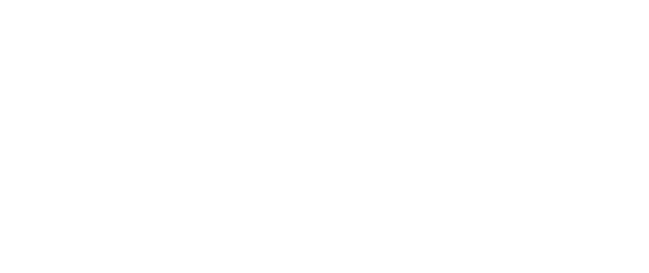 Vector 12